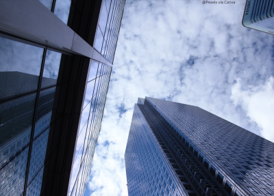 Puzzles with Privilege:  Corporate groups, companies and shareholders
