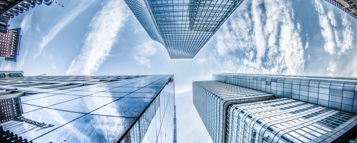 The 2024 LSLA Annual Litigation Trends Survey The 2024 LSLA Annual Litigation Trends Survey
