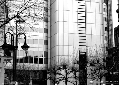 A New Era of Corporate Accountability: The Failure to Prevent Fraud Offence by Charlotte Hill